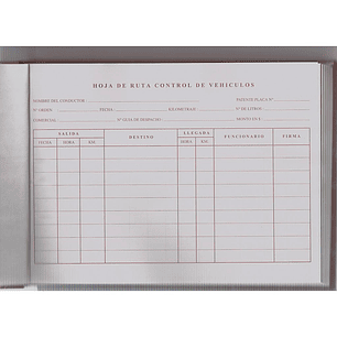 LIBRETA BITACORA REM 100 Hjs