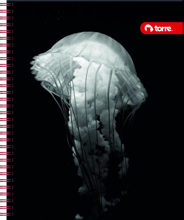 CUADERNO TORRE UNIV. 7mm 100 Hjs BLACK Y WHITE  1