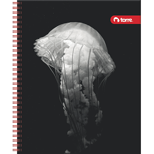 CUADERNO TORRE UNIV. 7mm 100 Hjs BLACK Y WHITE 