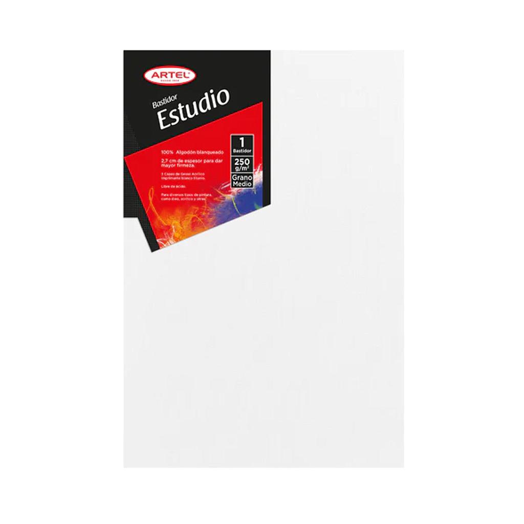 BASTIDOR ARTEL ESTUDIO 250g/m 40 x 60 Cm 1