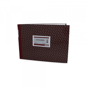 LIBRO 12 COLUMNAS BUHO 100 Hjs (ART-172)