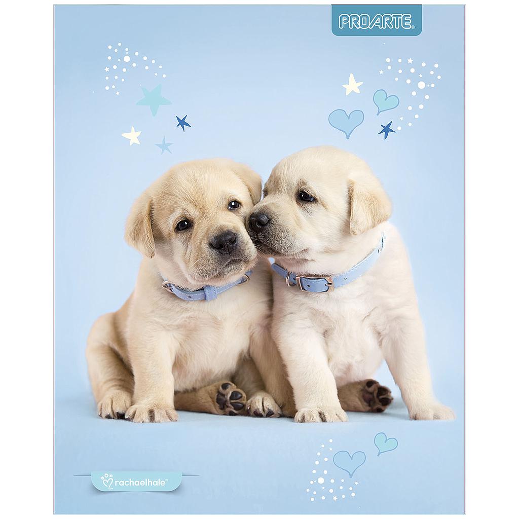 CUADERNO PROARTE UNIV. 7mm 100 Hjs ANIMALES ADORABLES  1