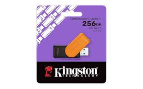  PENDRIVE KINGSTON DTXS 256 GB DATATRAVELER EXODIA  3.2 1