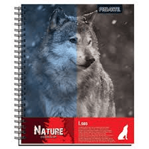 CUADERNO PROARTE UNIV. 7mm 100 Hjs ED/TE NATURE MAT. 