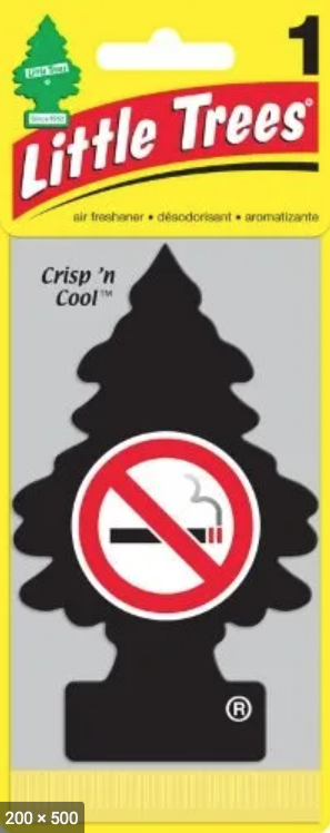 DESODORANTE PINO AUTOMOVIL NO FUMAR 1