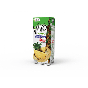 NECTAR VIVO PIÑA 190ML