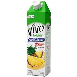 NECTAR VIVO PIÑA 1L