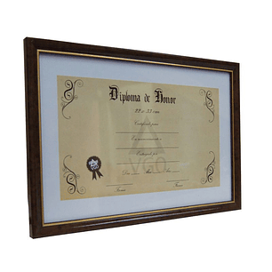 MARCO PLASTICO PARA DIPLOMA DORADO 22 X 33 CON DETALLE  DF2233