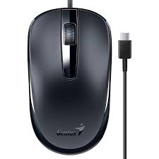 MOUSE GENIUS DX-120 CABLE TYPE-C NEGRO 1