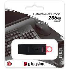 PENDRIVE KINGSTON 256GB 3.2 DATATRAVEL EXODIA 1