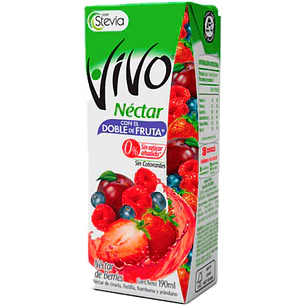 NECTAR VIVO BERRIES 190ML 