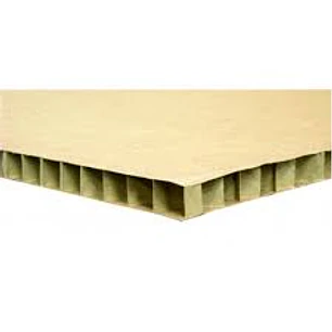 CARTON PANAL  10mm 77 X 110 cm 