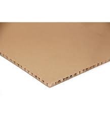 CARTON PANAL 10 mm 55 X 77 cm 1