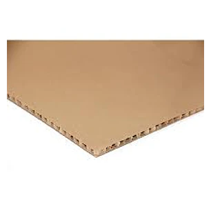 CARTON PANAL 10 mm 55 X 77 cm
