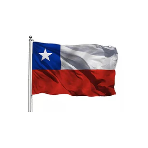 BANDERA DE GENERO CHILENA 90 X 60 CMS. FELIZ GROUP 1 UNID. (420107)