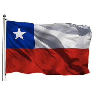 BANDERA DE GENERO CHILENA 180 X 120 CMS. GLAM  1 UNID. 