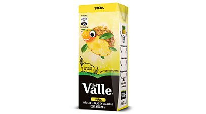 JUGO ANDIFRUT PIÑA 200ML 1