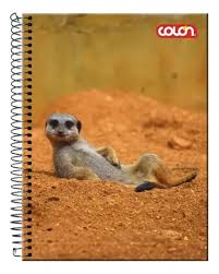 CUADERNO COLON TOP LITO 7mm 120 Hjs  1