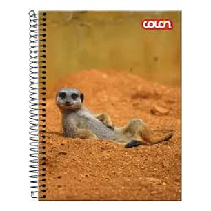 CUADERNO COLON TOP LITO 7mm 120 Hjs 