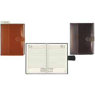 AGENDA BUHO MANAGER SILVER 2027 (COD.7772)