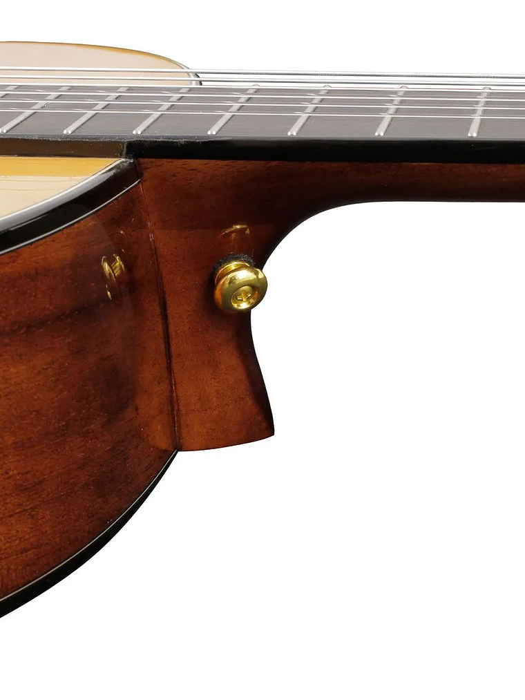 Guitarra Acústica Vizcaya Basauri Nylon 5