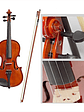 Violín Freeman Classic 4/4 FRV50 - thumbnail 4