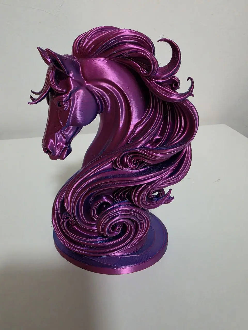 Cavalo em Movimento 1