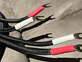 Cables de Parlante Shunyata Sigma v1 - 2 mts - Image 4