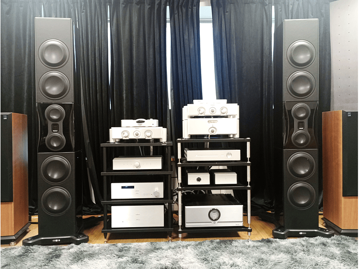 Monitor Audio Platinum PL500 **USADAS** Sólo pago transferencia  1