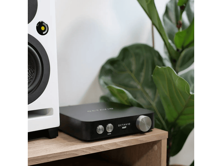 Octavio Amp - All in One 3