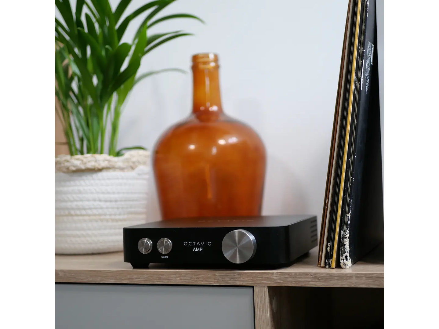 Octavio Amp - All in One 4