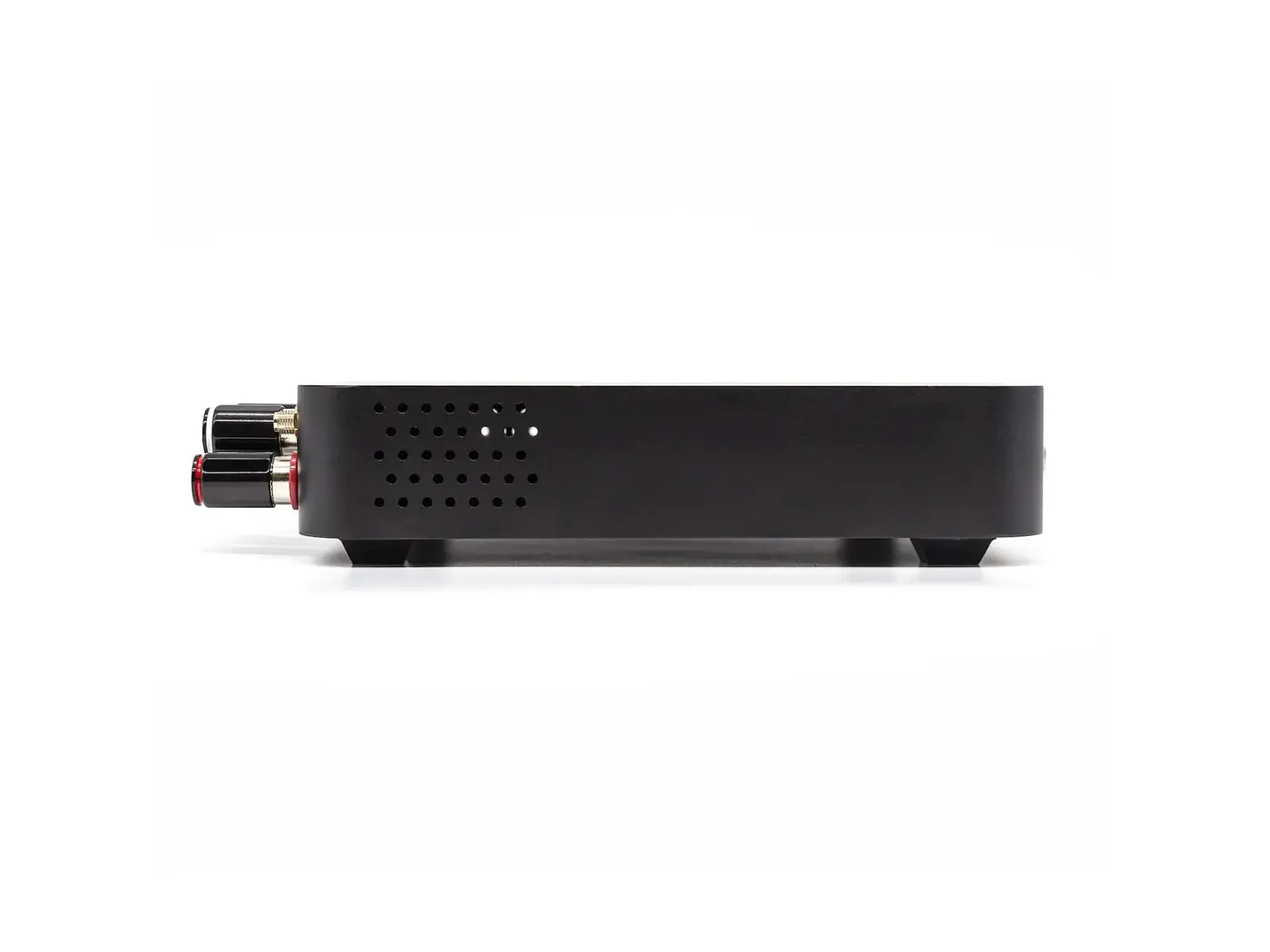 Octavio Amp - All in One 5