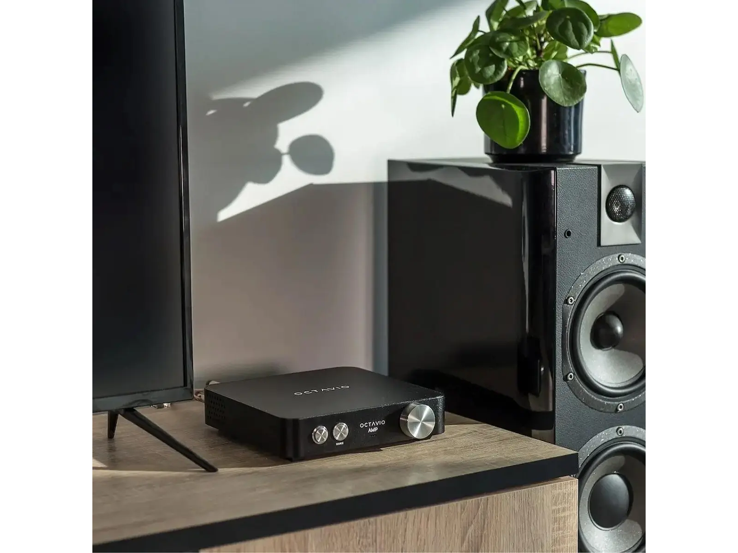 Octavio Amp - All in One 7