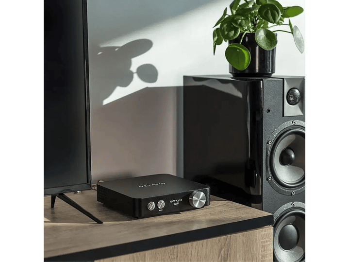 Octavio Amp - All in One 7