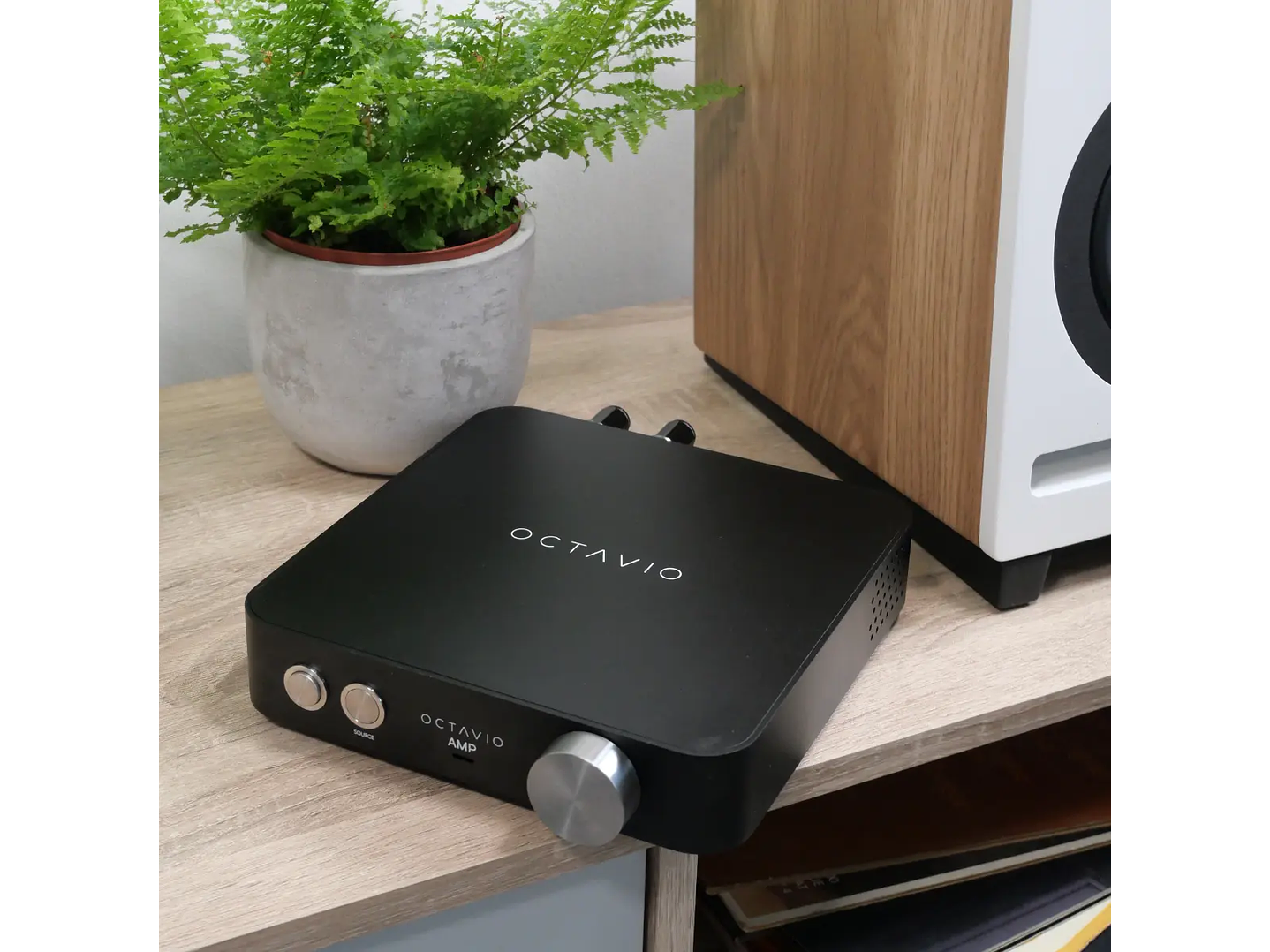 Octavio Amp - All in One 8