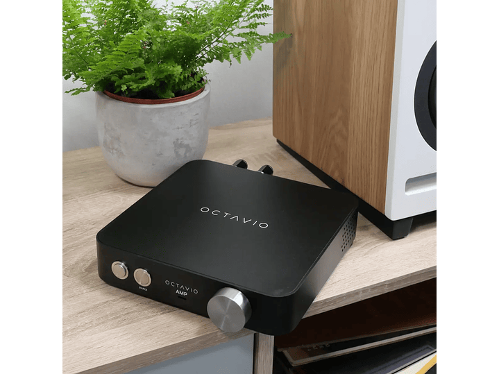 Octavio Amp - All in One 8