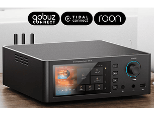 Shanling SM1.3 Streamer