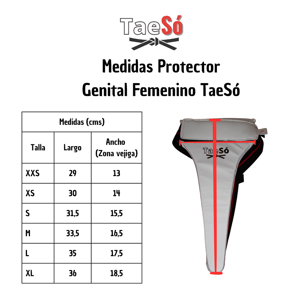 Pack Protecciones Taekwondo Inicio Mujer