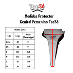 Pack Protecciones Taekwondo Inicio Mujer