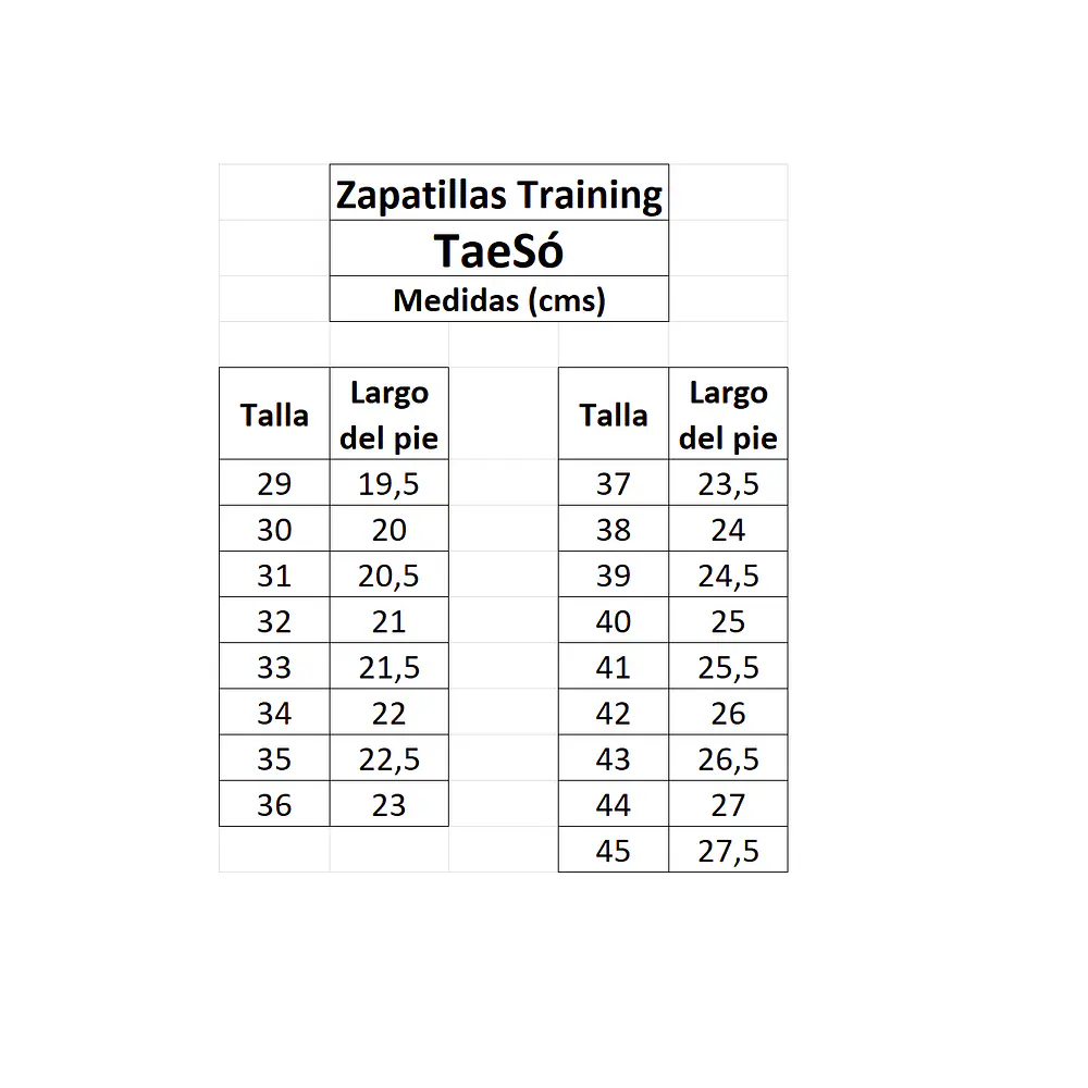 Zapatilla Artes Marciales TaeSó Training