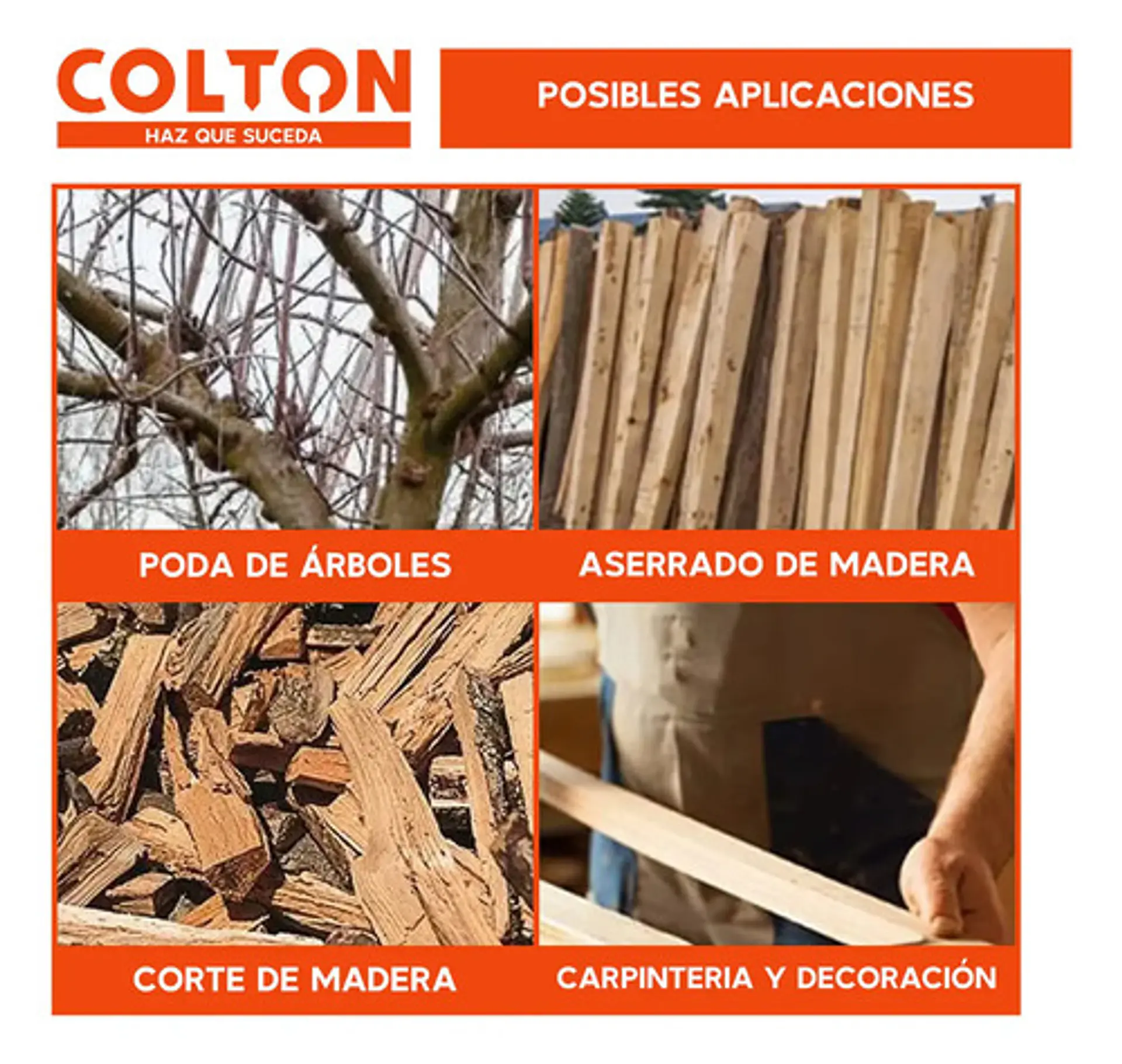 Sierra Eléctrica Multifuncional Colton Portatil 6 Pulgadas + 2 Baterías Recargables Negro 50 Hz/60 Hz 6