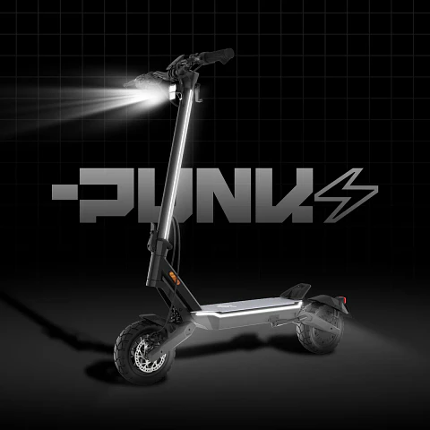Punk Roamer
