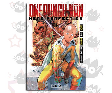 One Punch Man : Hero Perfection