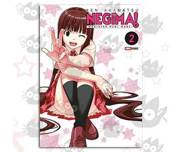 Negima! Magister Negi Magi Vol. 02