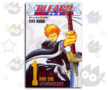 Bleach Vol. 01