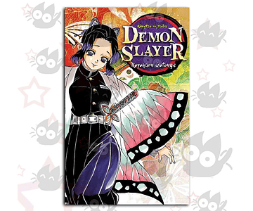 Demon Slayer Vol. 06