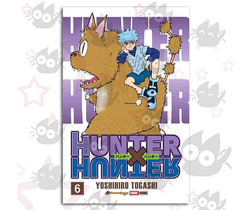 Hunter x Hunter Vol. 06