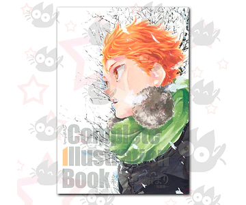 Haikyu!! Complete Illustration Book
