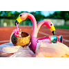 Anteojos de Sol Goodr Flamingos on a Booze Cruise