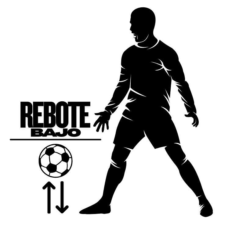 BALON FUTSAL ELITE TERMOSELLADO N3 2